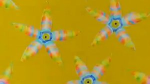 Сен-Санс. Аквариум