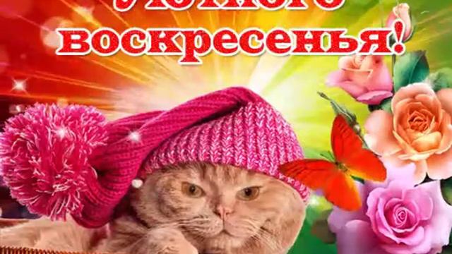 Доброе пожелание