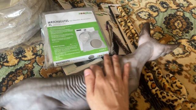 🐈Распаковка🐈Обзор Покупок для Кошачьей Компании🐈 смотреть онлайн