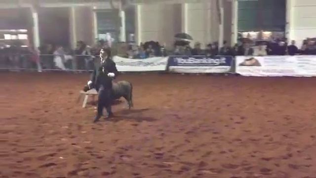 Carmine Falabella Pony Show e Peter Fieracavalli 2014 смотреть онлайн