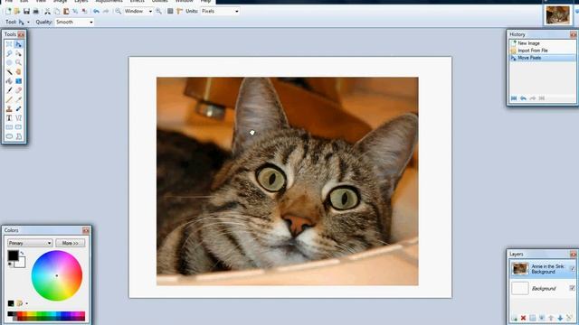 How to rotate images on Paint.NET смотреть онлайн
