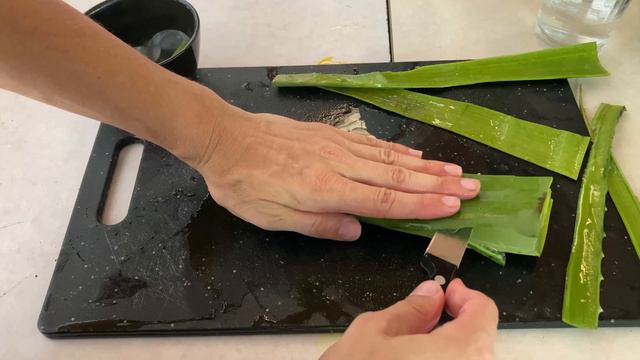 Identification of aloe vera plant and how to extract aloe vera gel смотреть онлайн