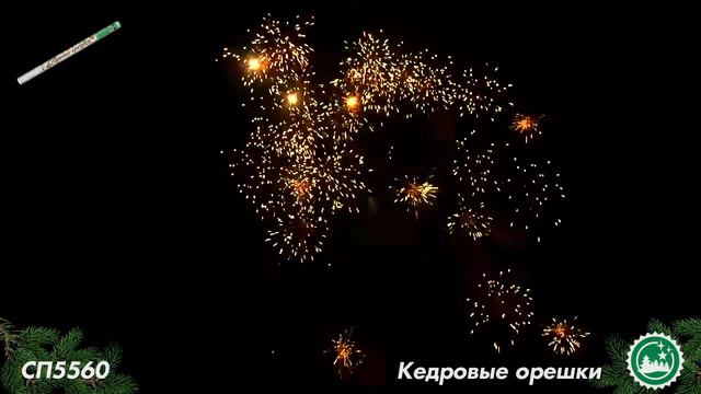 СП5560 смотреть онлайн