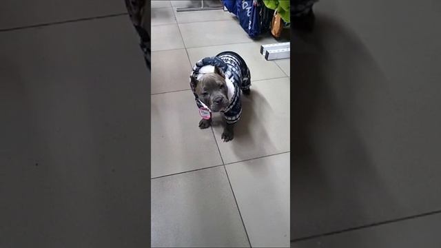 Учимся ходить заново 😂 смотреть онлайн