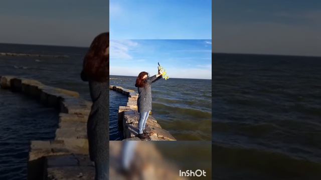 Морская черепаха в естественной среде. #вяжуназаказ #вязанаячерепаха #handmade_djyka #черепаха