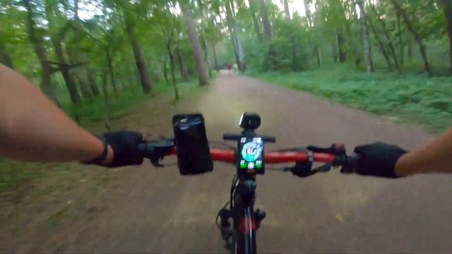 LIVE: ПОЕЗДКА ЧЕРЕЗ ЛЕСОК ДО ВЕЛОСЕРВИСА LOVE BIKE