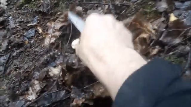 Пошел за груздями а попадают белые. Но грузди все же отыскал. смотреть онлайн