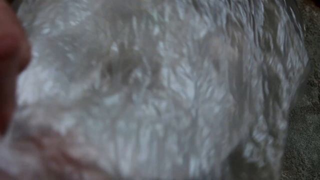 Эти овощные культуры весной сеют в первую очередь смотреть онлайн