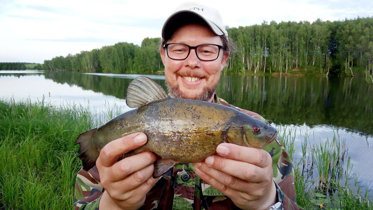 Хитрый линь запутал снасть, но мы смогли его поймать. Ловля линя на пруду смотреть онлайн