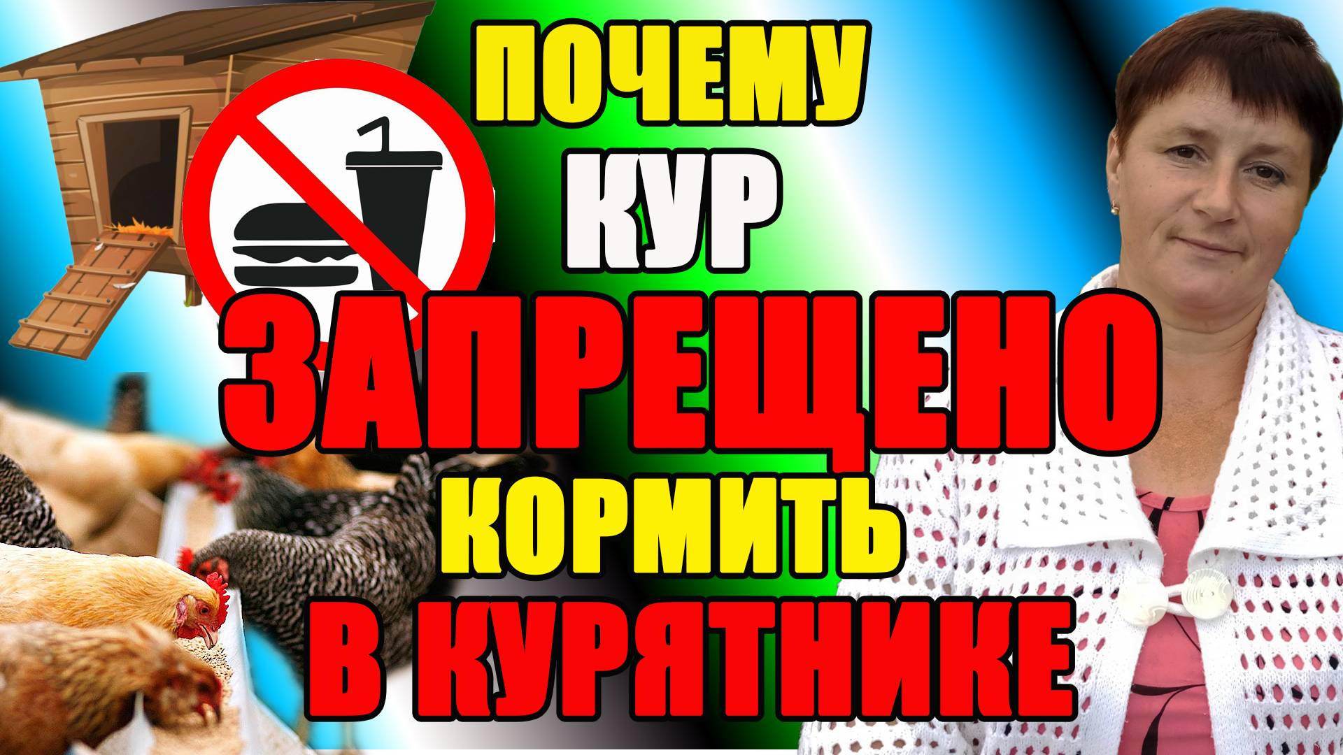 Почему ЗАПРЕЩЕНО кормить кур В КУРЯТНИКЕ. смотреть онлайн