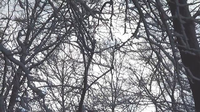 Ульяновск. "Тихая моя Родина, я ничего не забыл..." Последний день зимы, парк Победы, 29.02.2020. смотреть онлайн