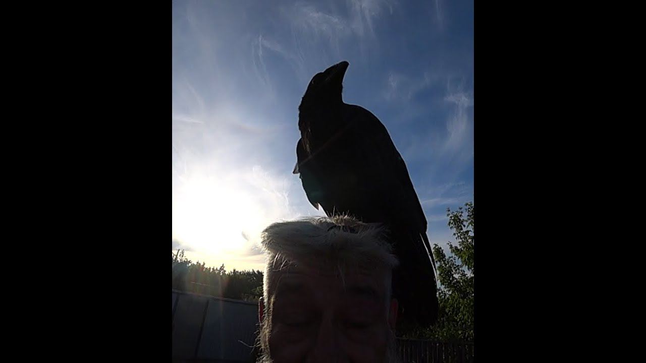 О как бывает. смотреть онлайн