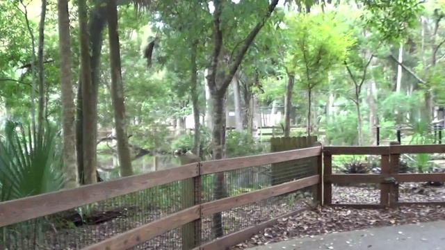 #208 США, Красная книга с морскими коровами - клево!!! смотреть онлайн
