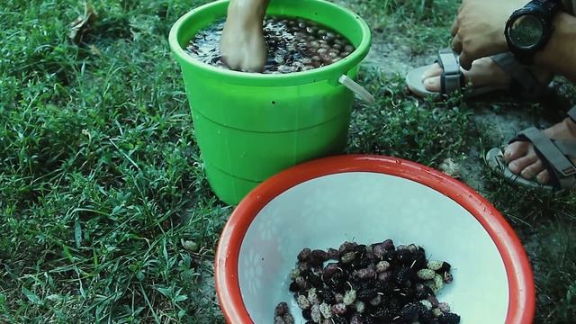 ТУТОВОЕ ВАРЕНЬЕ. НАТУРАЛЬНЫЙ, ДОМАШНИЙ ПРОДУКТ. #подпишитесь_на_канал ? смотреть онлайн