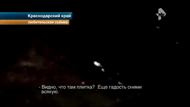 В Краснодарском крае до полусмерти замученных животных с частной фермы отправили в современный дельф