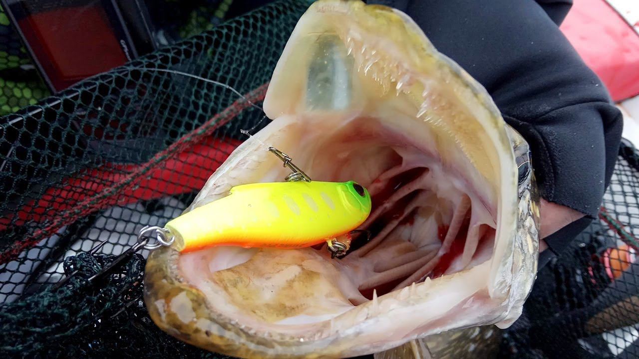 Вибы против джига. Ловля щуки и окуня. Рыбалка на водохранилище смотреть онлайн