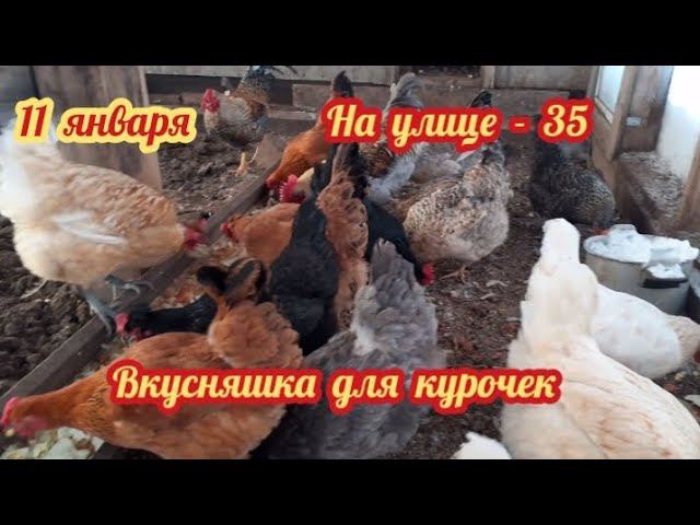 Морозное утро: - 35. Вкусняшка для курочек.... смотреть онлайн