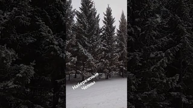 Красивые ели. Набережные Челны смотреть онлайн