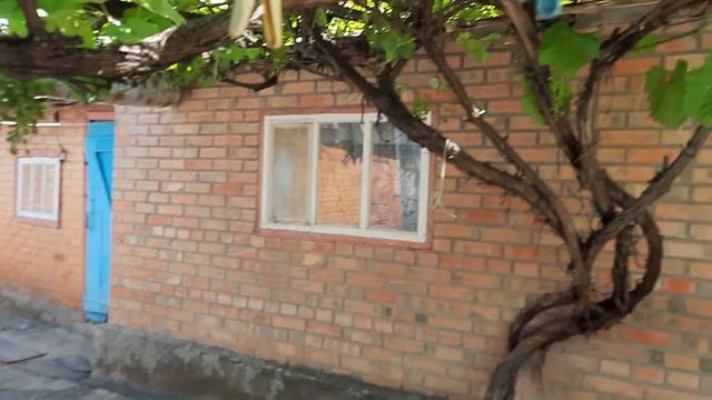 Продам НЕДОРОГО два дома площадью 61,1 и 54 кв.м на участке 18 соток в с.Рясное Ростовской области. смотреть онлайн