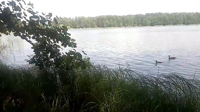 На природе смотреть онлайн