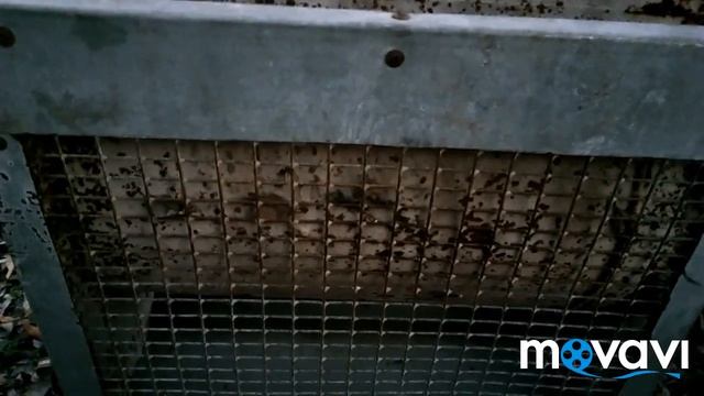 Палатка с печкой. Ночёвка в ноябре на берегу реки Дон . смотреть онлайн