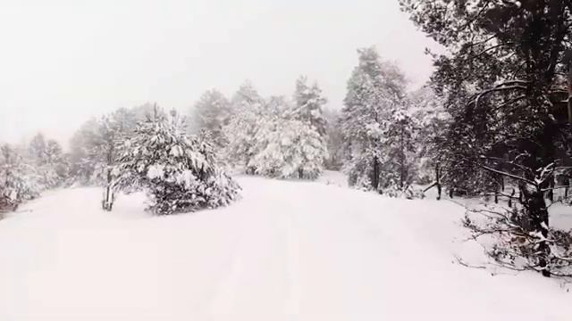 Кристально чистые реки, бежащие сквозь зеленые леса смотреть онлайн