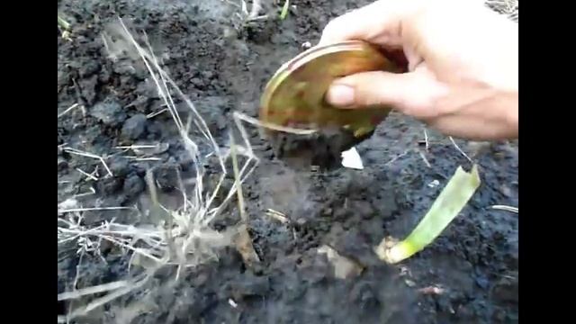 Б /у крышки в зимнем укрытии ИРИСОВ смотреть онлайн