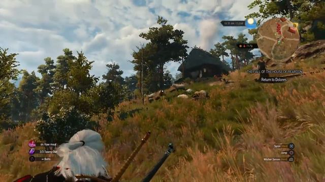 The Witcher 3: Infinite Money and Food Glitch Goats! смотреть онлайн