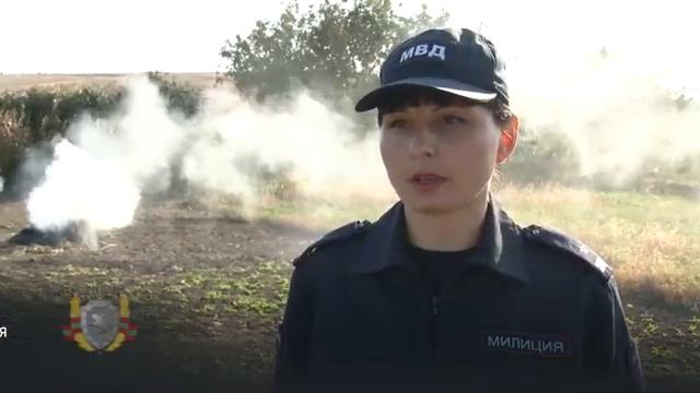 Сжигание осенних листьев опасно и противозаконно смотреть онлайн