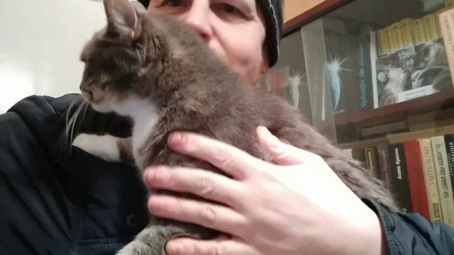 Не был дома целый час!😊 смотреть онлайн