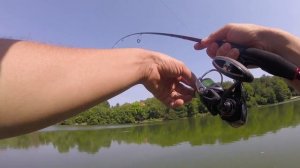 Бюджетно и эффективно! Обзор комплекта Daiwa Ninja Z и катушки Daiwa Fuego 2500