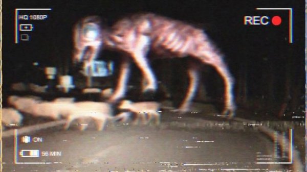 Топ 5 Добрых Монстров Тревора Хендерсона