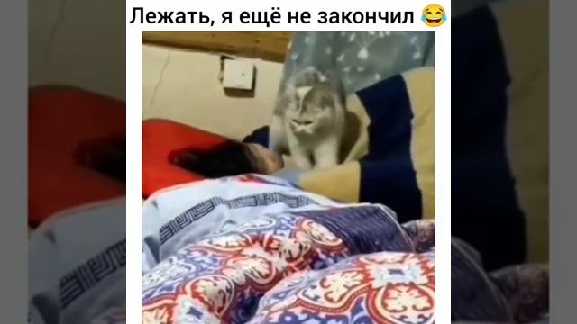 Тайский массаж ??? смотреть онлайн