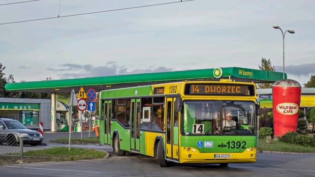 Все модификации автобусов МАЗ 103 смотреть онлайн