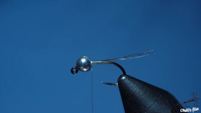 Zebra Mayfly Nymph смотреть онлайн