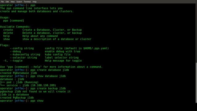 Crunchy Data Postgres Operator v1.0.0 смотреть онлайн