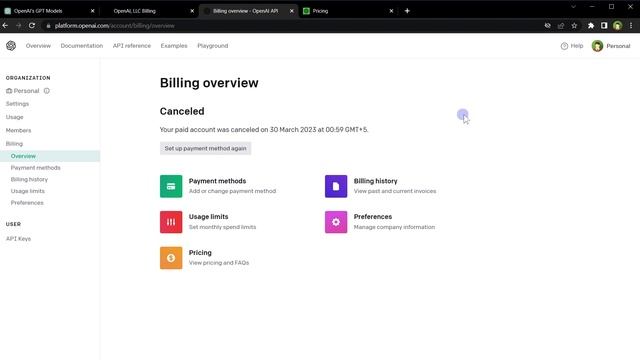 ChatGPT Plus Subsciption Vs OpenAI API Subsciption !! Must Watch !!