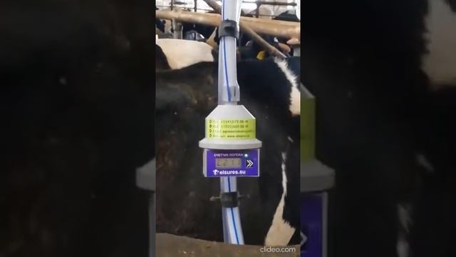 Счетчик молока портативный смотреть онлайн