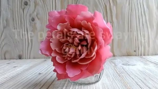 Пион из фасолевой пасты (Bean paste)