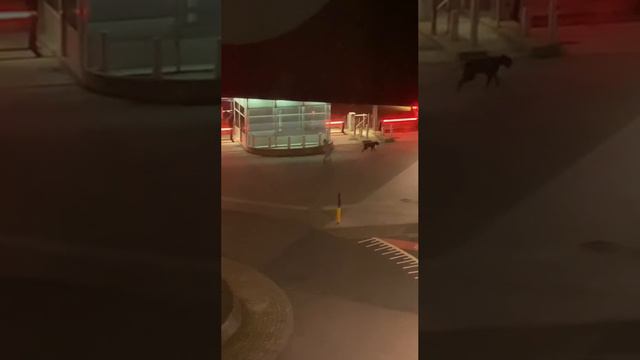 Если вы давно хотели заняться спортом смотреть онлайн