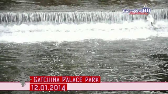 Гатчинский дворцовый парк смотреть онлайн