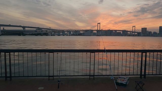 Рыбалка в Токио Как и где рыбачат японцы смотреть онлайн