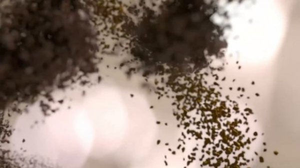 Ресторанный критик. Новая реклама Jacobs Monarch Millicano