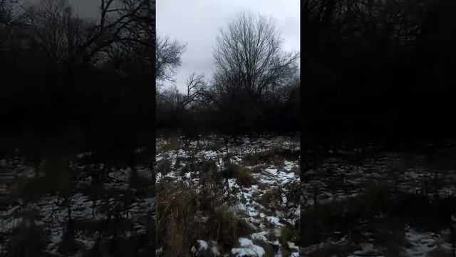Где прячется Фазан смотреть онлайн