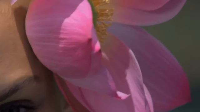 BVLGARI Omnia Coral смотреть онлайн