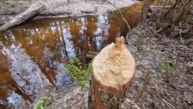 317 На даче у друзей с экшен камерой insta360X3 смотреть онлайн