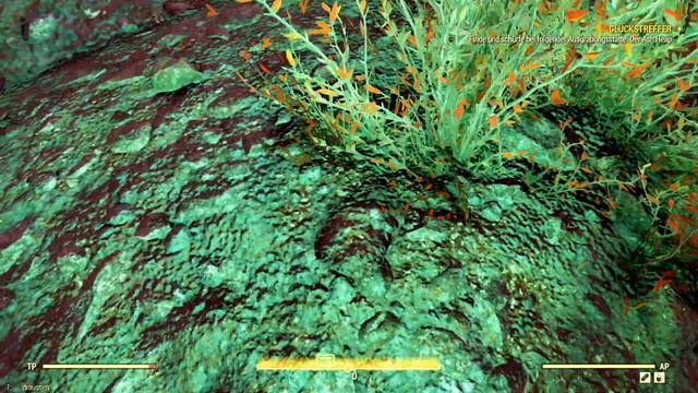 MANCHMAL IST FALLOUT EIN ALBTRAUM ❗☢️ Fallout 76 Deutsch 343 | SOLO PC Gameplay German смотреть онлайн