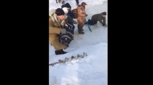 Как волна ломает лёд.  Рыбаки спасаются бегством