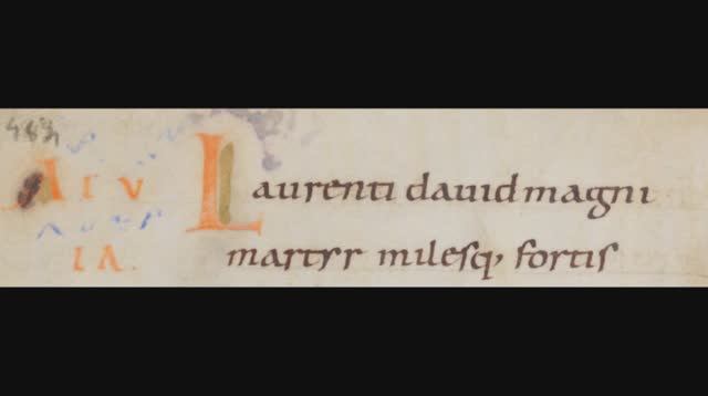 Laurenti Dauid Magni