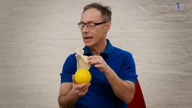 Release & Relax Your Shoulders (with These All Time Favorite Ball Exercises)